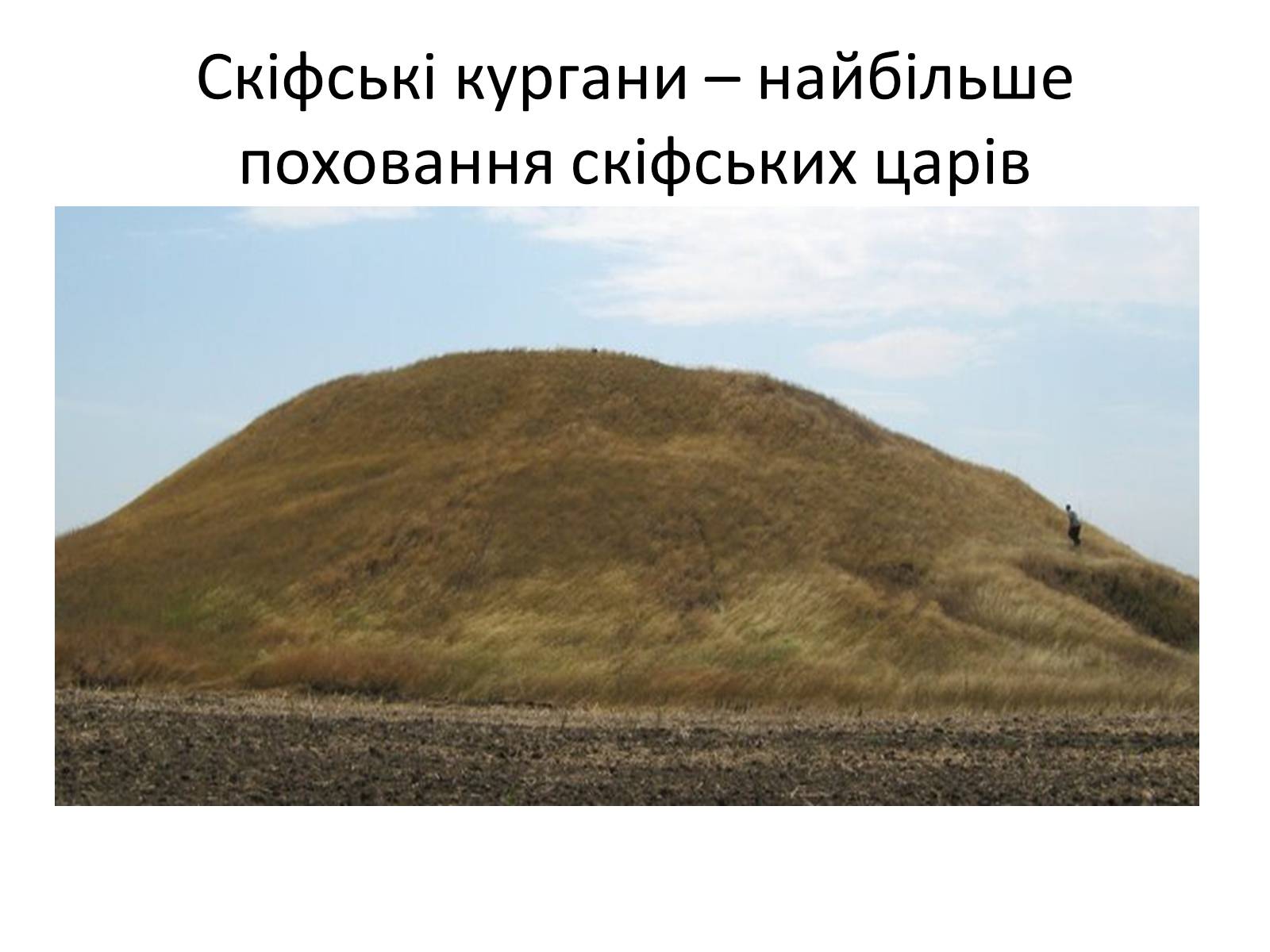 Презентація на тему «Херсонська область» - Слайд #27 Презентація на тему «Херсонська область» - Слайд #27