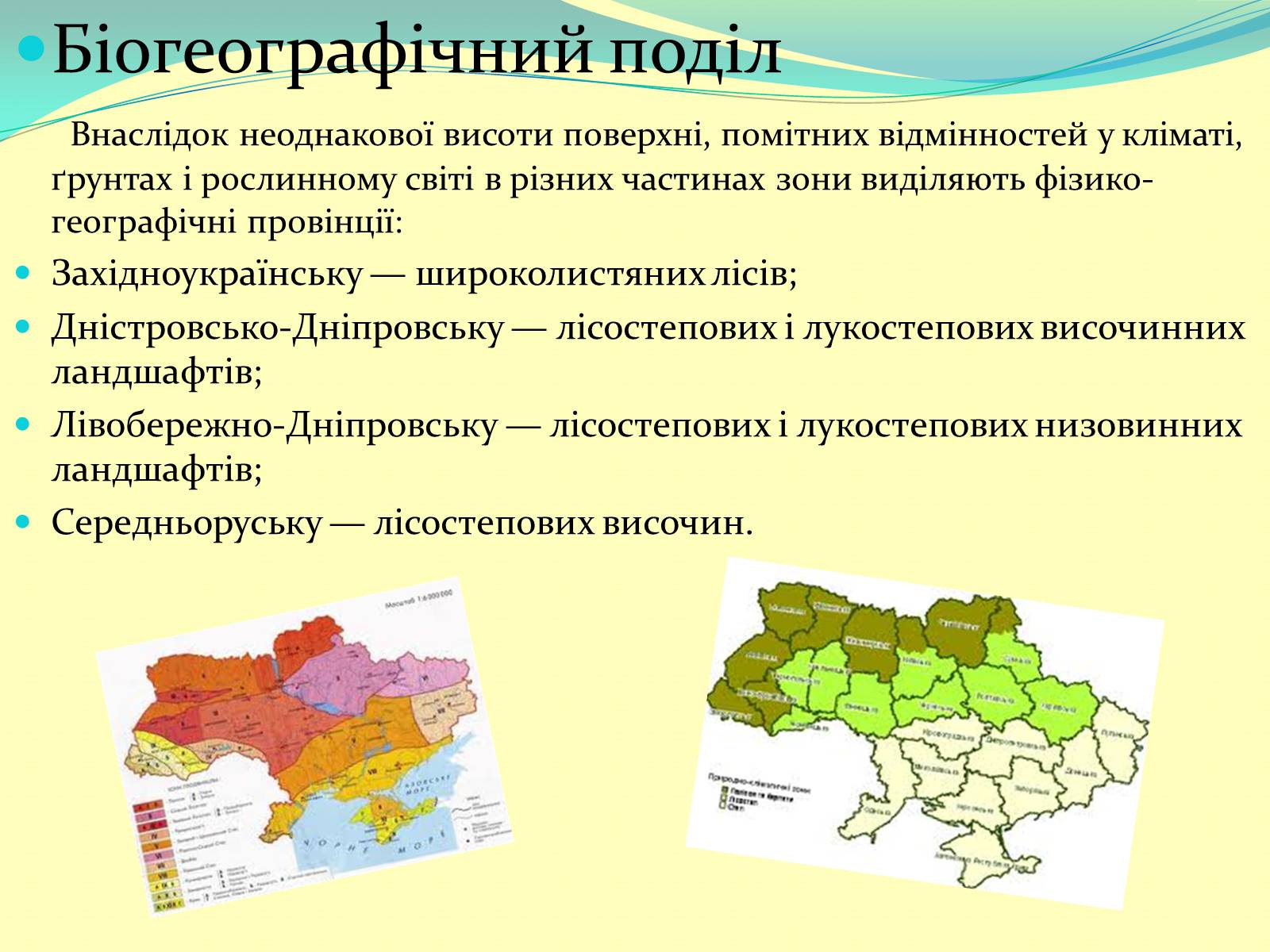 Презентація на тему «Лісостеп України» - Слайд #7