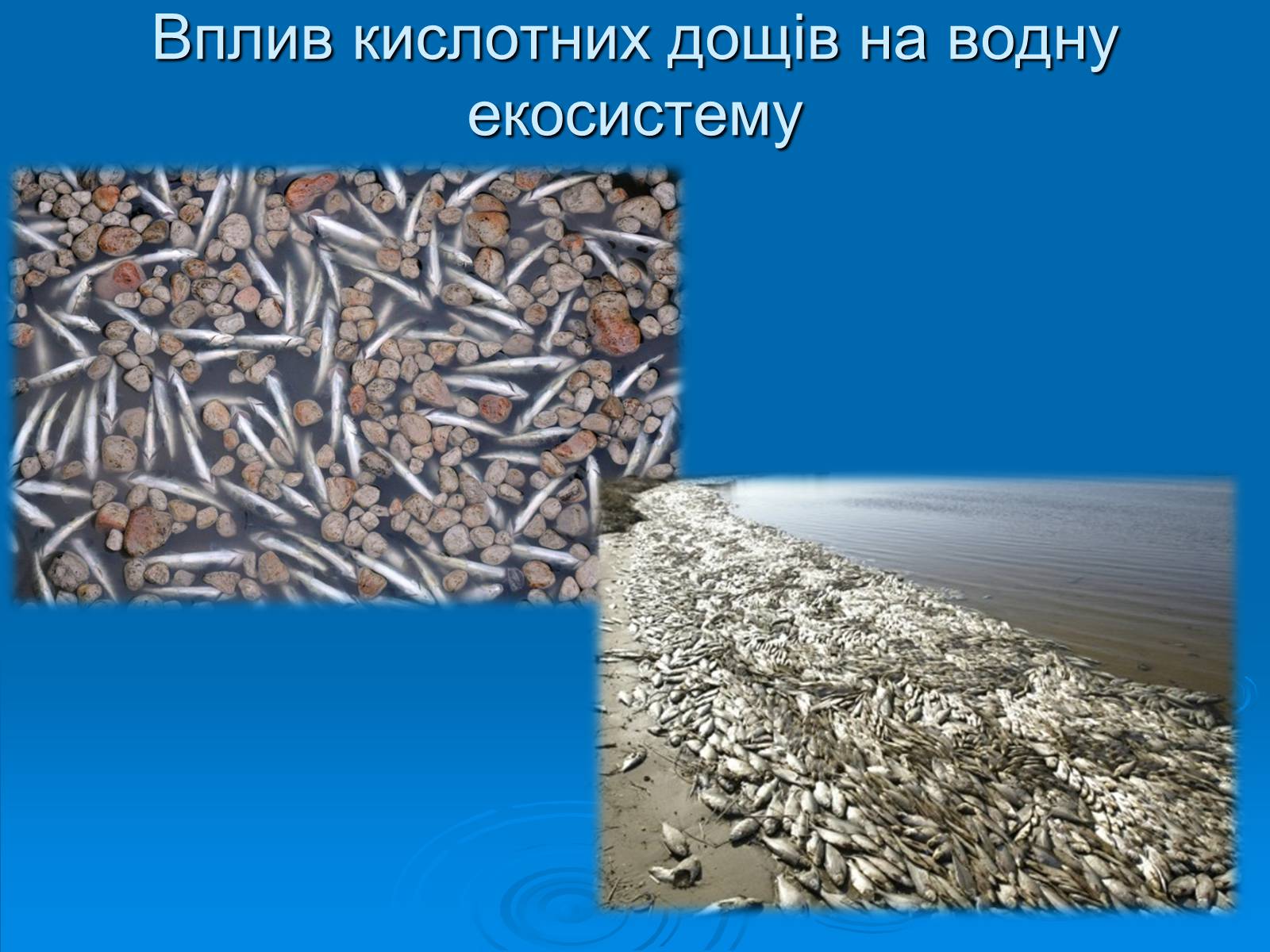 Презентація на тему «Кислотні дощі» (варіант 12) - Слайд #11 Презентація на тему «Кислотні дощі» (варіант 12) - Слайд #11