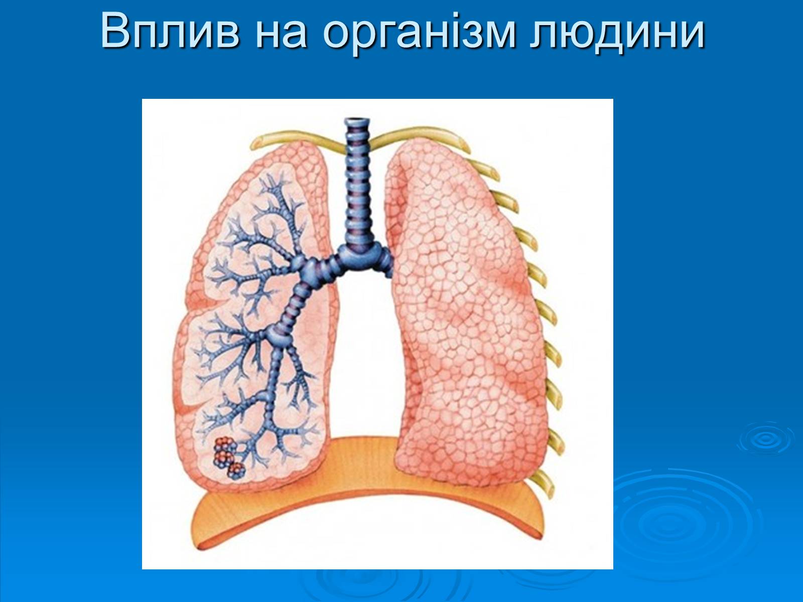 Презентація на тему «Кислотні дощі» (варіант 12) - Слайд #14 Презентація на тему «Кислотні дощі» (варіант 12) - Слайд #14