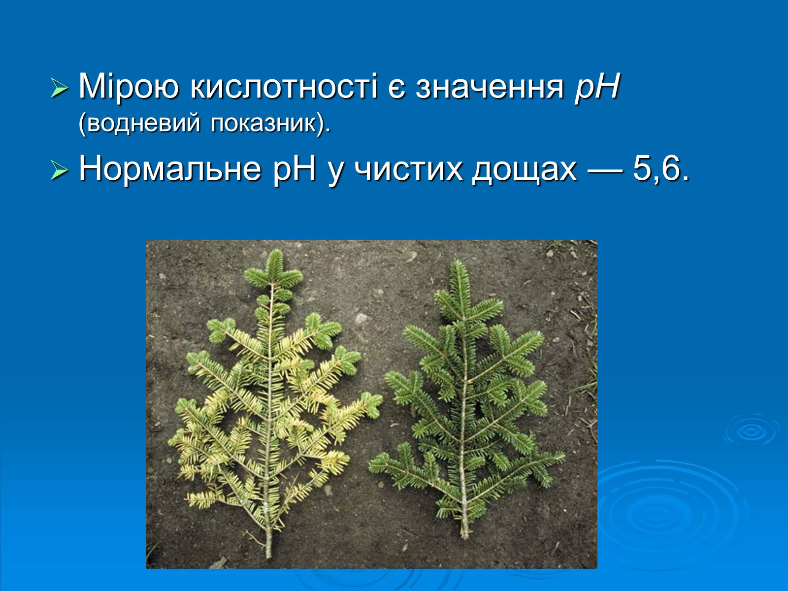 Презентація на тему «Кислотні дощі» (варіант 12) - Слайд #4 Презентація на тему «Кислотні дощі» (варіант 12) - Слайд #4