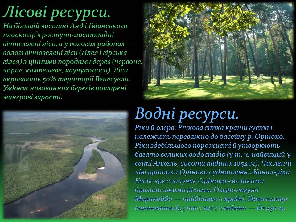 Презентація на тему «Венесуела» (варіант 3) - Слайд #11 Презентація на тему «Венесуела» (варіант 3) - Слайд #11