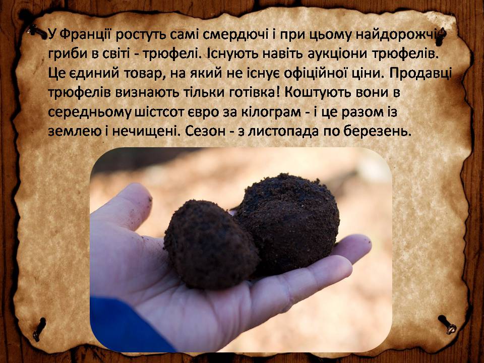 Презентація на тему «Франція» (варіант 46) - Слайд #26 Презентація на тему «Франція» (варіант 46) - Слайд #26
