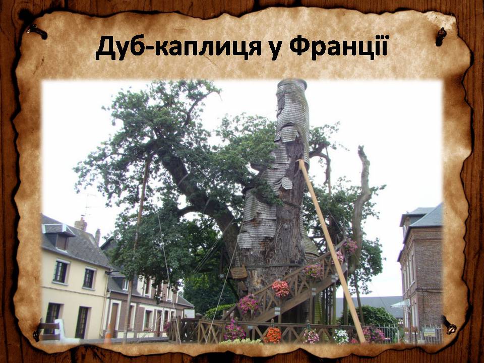 Презентація на тему «Франція» (варіант 46) - Слайд #87 Презентація на тему «Франція» (варіант 46) - Слайд #87