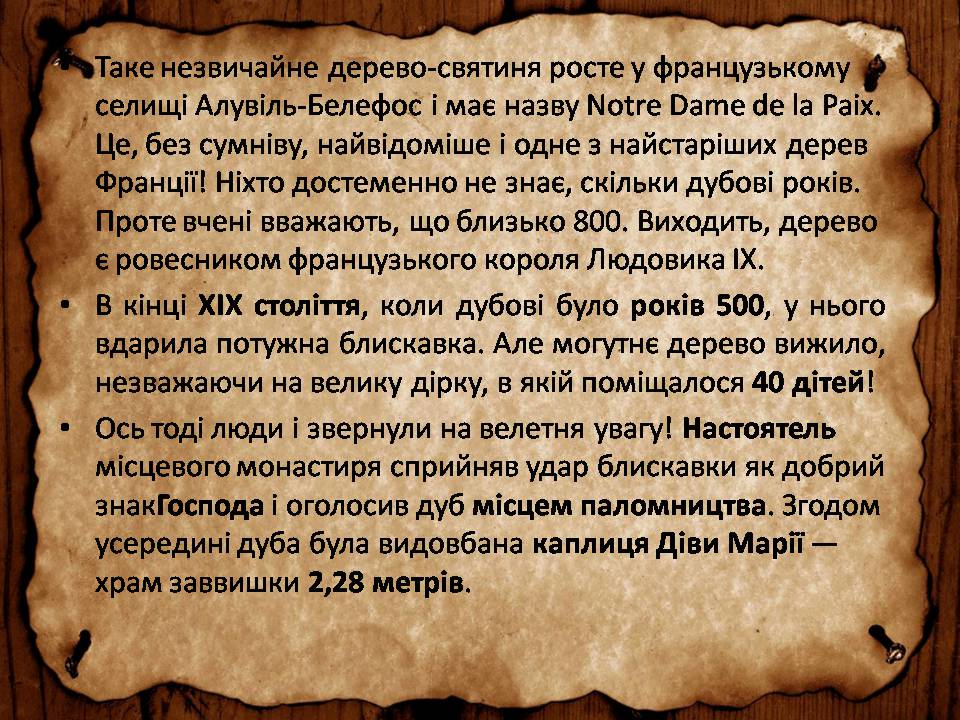 Презентація на тему «Франція» (варіант 46) - Слайд #88 Презентація на тему «Франція» (варіант 46) - Слайд #88