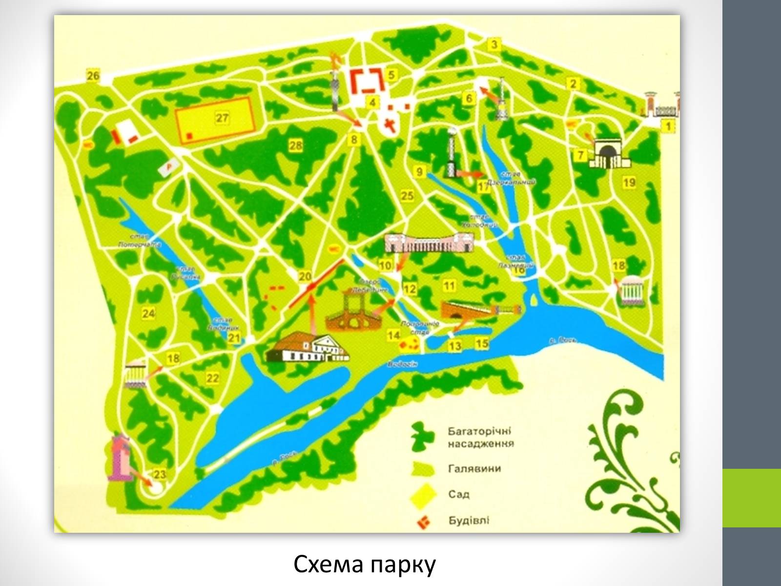 Презентація на тему «Державний дендрологічний парк «Олександрія»» - Слайд #24 Презентація на тему «Державний дендрологічний парк «Олександрія»» - Слайд #24