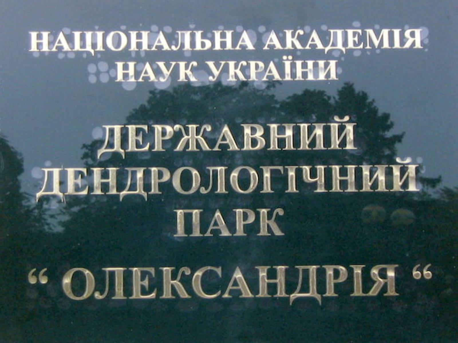 Презентація на тему «Державний дендрологічний парк «Олександрія»» - Слайд #25 Презентація на тему «Державний дендрологічний парк «Олександрія»» - Слайд #25