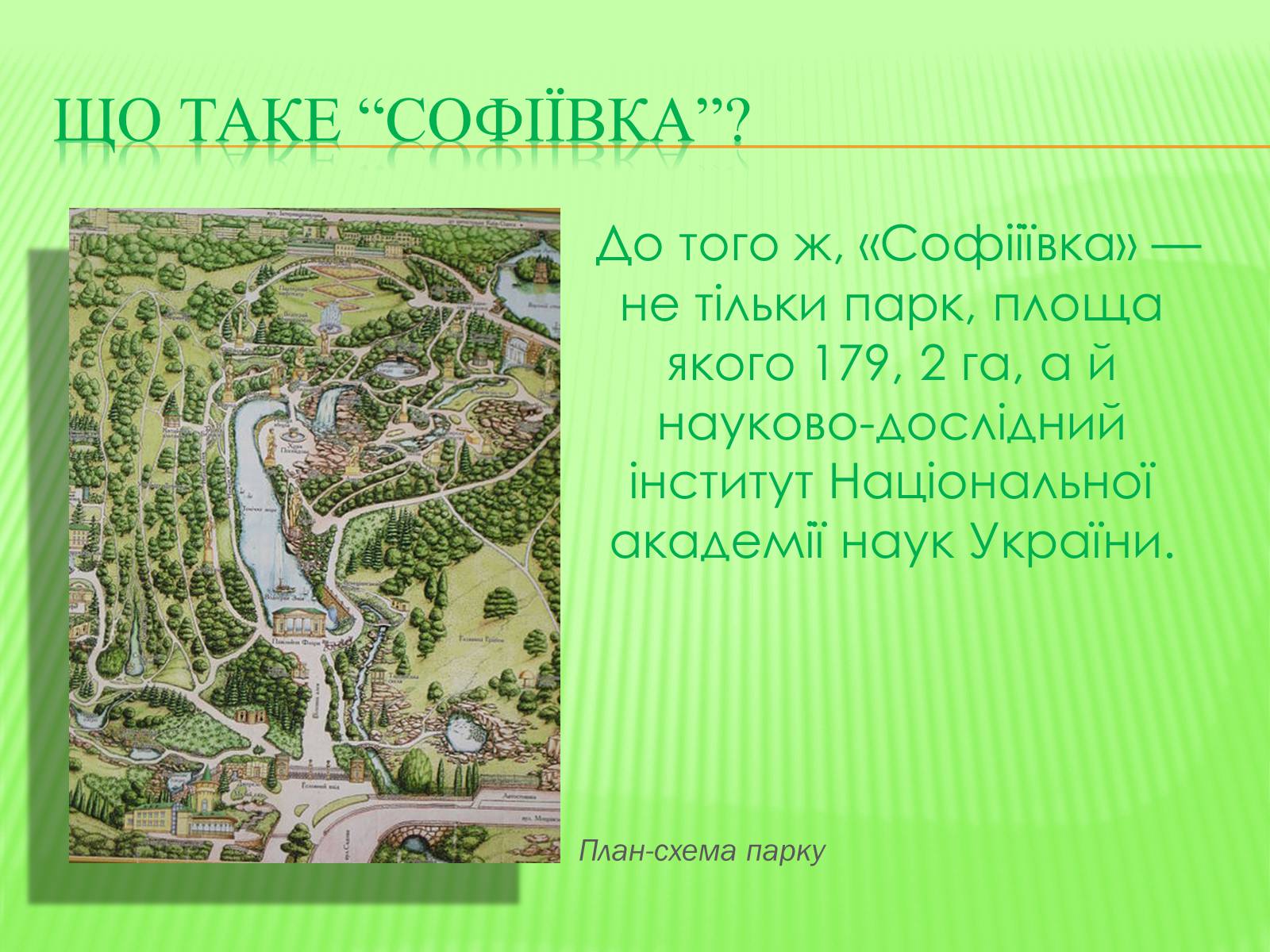 Презентація на тему «СофIївка. Умань» - Слайд #11 Презентація на тему «СофIївка. Умань» - Слайд #11