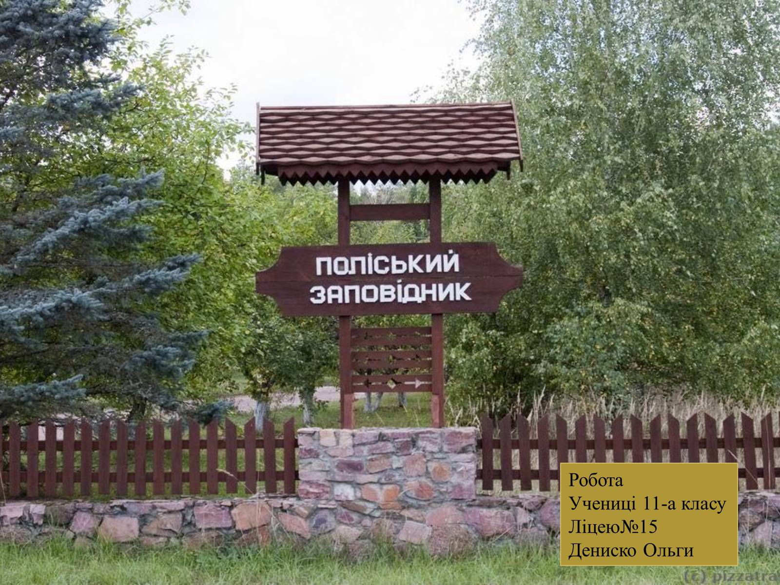 Презентація на тему «Поліський заповідник» - Слайд #1 Презентація на тему «Поліський заповідник» - Слайд #1