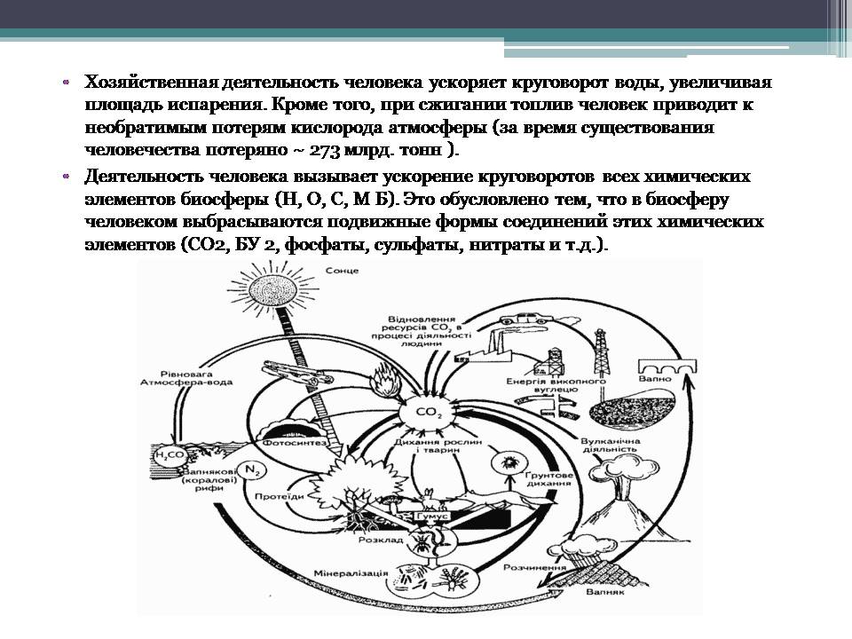 Презентація на тему «Анализ схем круговорота основных веществ в природе» - Слайд #10 Презентація на тему «Анализ схем круговорота основных веществ в природе» - Слайд #10