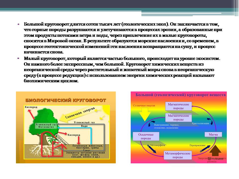 Презентація на тему «Анализ схем круговорота основных веществ в природе» - Слайд #3 Презентація на тему «Анализ схем круговорота основных веществ в природе» - Слайд #3