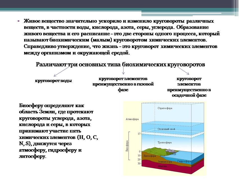 Презентація на тему «Анализ схем круговорота основных веществ в природе» - Слайд #4 Презентація на тему «Анализ схем круговорота основных веществ в природе» - Слайд #4