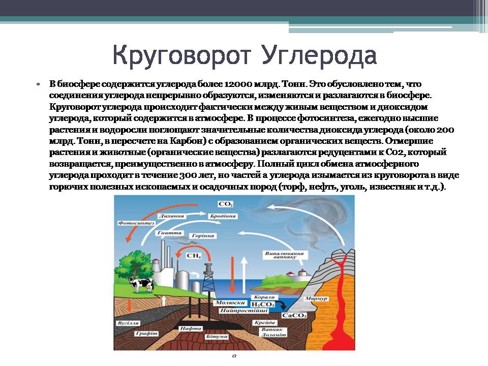 Презентація на тему «Анализ схем круговорота основных веществ в природе» - Слайд #5 Презентація на тему «Анализ схем круговорота основных веществ в природе» - Слайд #5