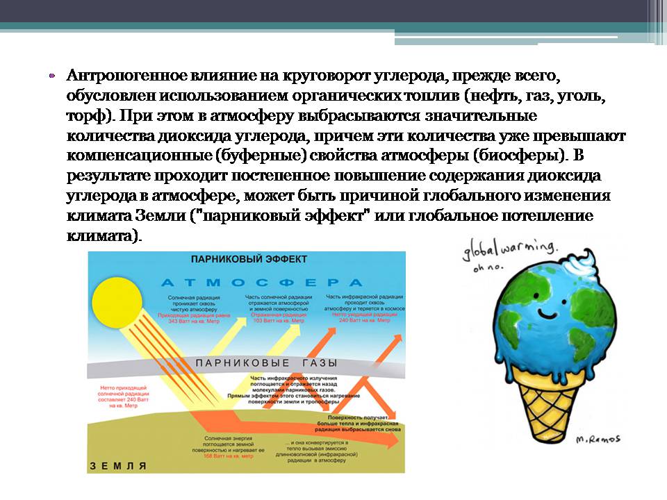 Презентація на тему «Анализ схем круговорота основных веществ в природе» - Слайд #6 Презентація на тему «Анализ схем круговорота основных веществ в природе» - Слайд #6