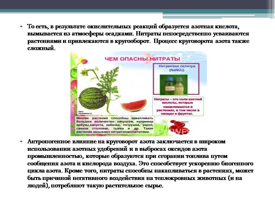 Презентація на тему «Анализ схем круговорота основных веществ в природе» - Слайд #8 Презентація на тему «Анализ схем круговорота основных веществ в природе» - Слайд #8