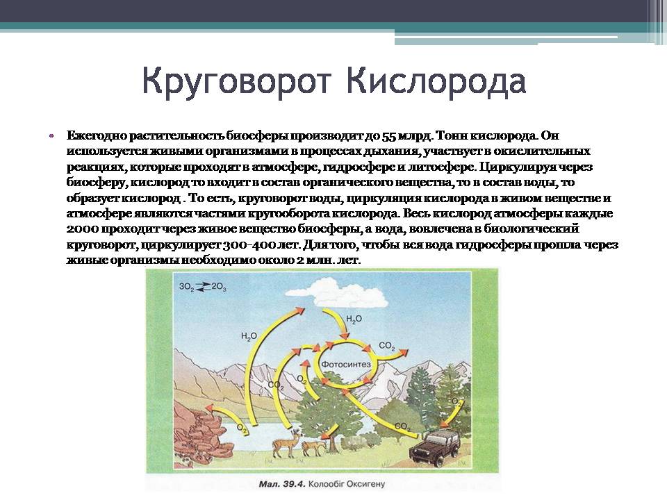 Презентація на тему «Анализ схем круговорота основных веществ в природе» - Слайд #9 Презентація на тему «Анализ схем круговорота основных веществ в природе» - Слайд #9