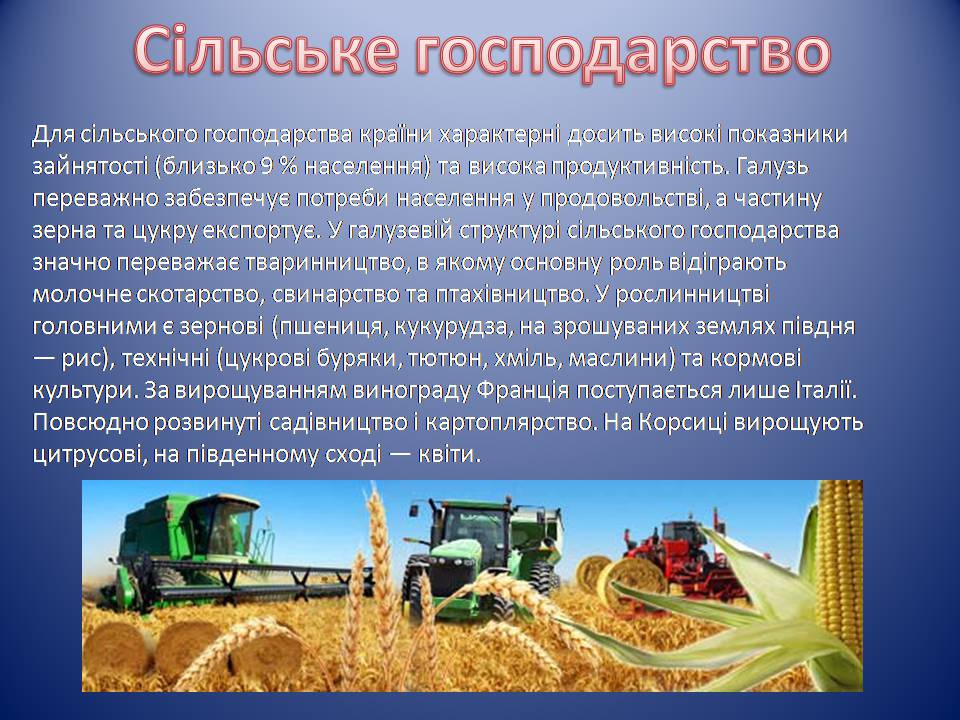 Презентація на тему «Франція» (варіант 39) - Слайд #15 Презентація на тему «Франція» (варіант 39) - Слайд #15