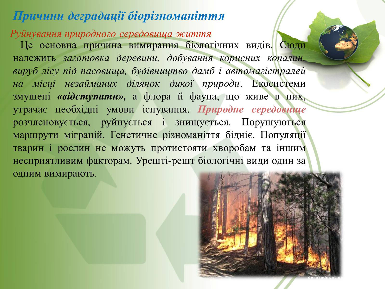 Презентація на тему «Причини і наслідки деградації біорізноманіття» (варіант 2) - Слайд #5 Презентація на тему «Причини і наслідки деградації біорізноманіття» (варіант 2) - Слайд #5