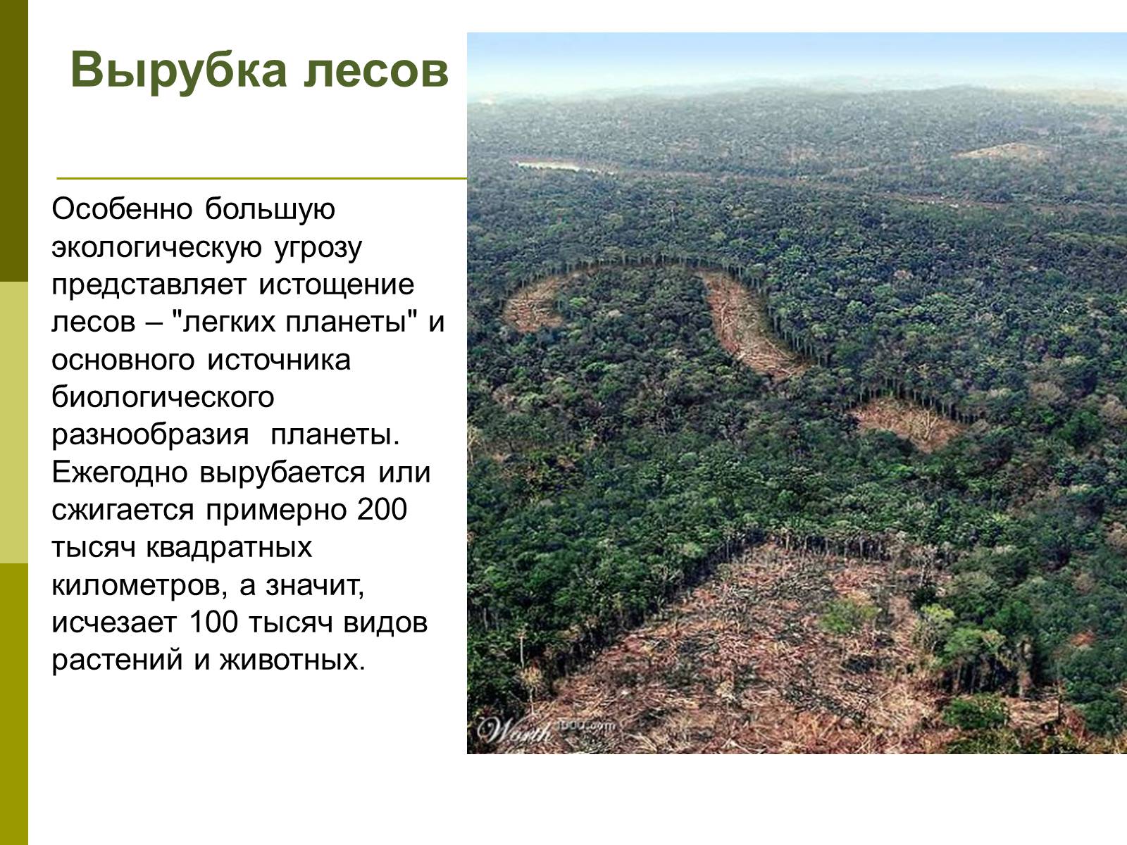 Презентація на тему «Экологические проблемы современного мира» - Слайд #10 Презентація на тему «Экологические проблемы современного мира» - Слайд #10