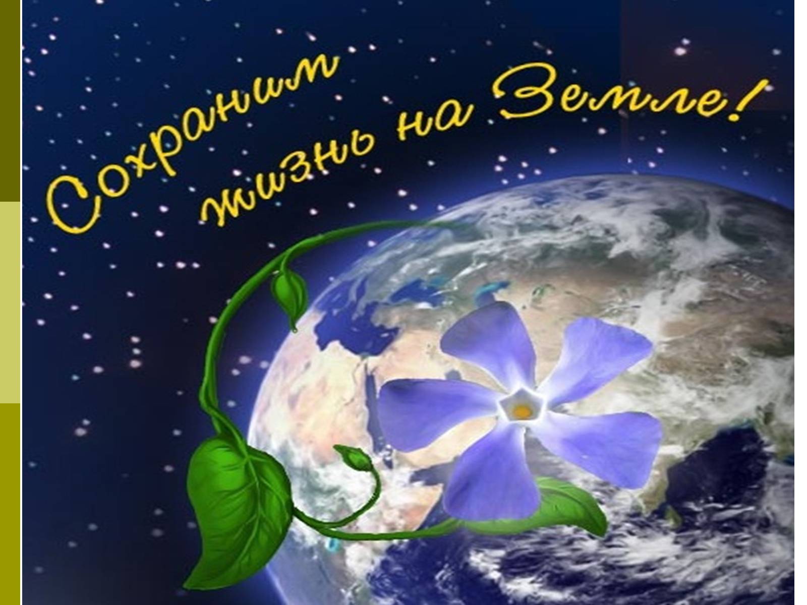 Презентація на тему «Экологические проблемы современного мира» - Слайд #15 Презентація на тему «Экологические проблемы современного мира» - Слайд #15