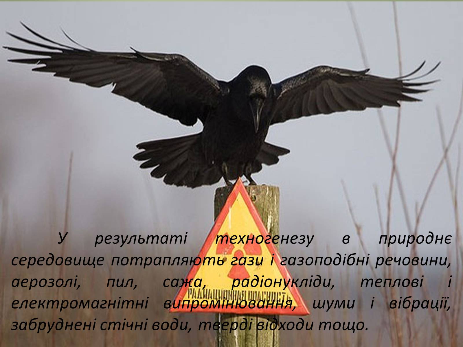 Презентація на тему «Основні антропогенні джерела забруднення навколишнього середовища» (варіант 2) - Слайд #4 Презентація на тему «Основні антропогенні джерела забруднення навколишнього середовища» (варіант 2) - Слайд #4