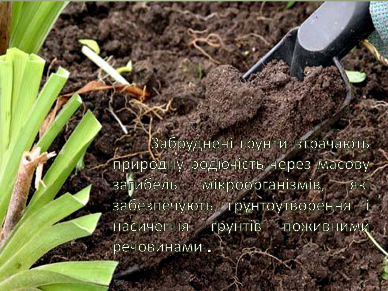 Презентація на тему «Основні антропогенні джерела забруднення навколишнього середовища» (варіант 2) - Слайд #8 Презентація на тему «Основні антропогенні джерела забруднення навколишнього середовища» (варіант 2) - Слайд #8