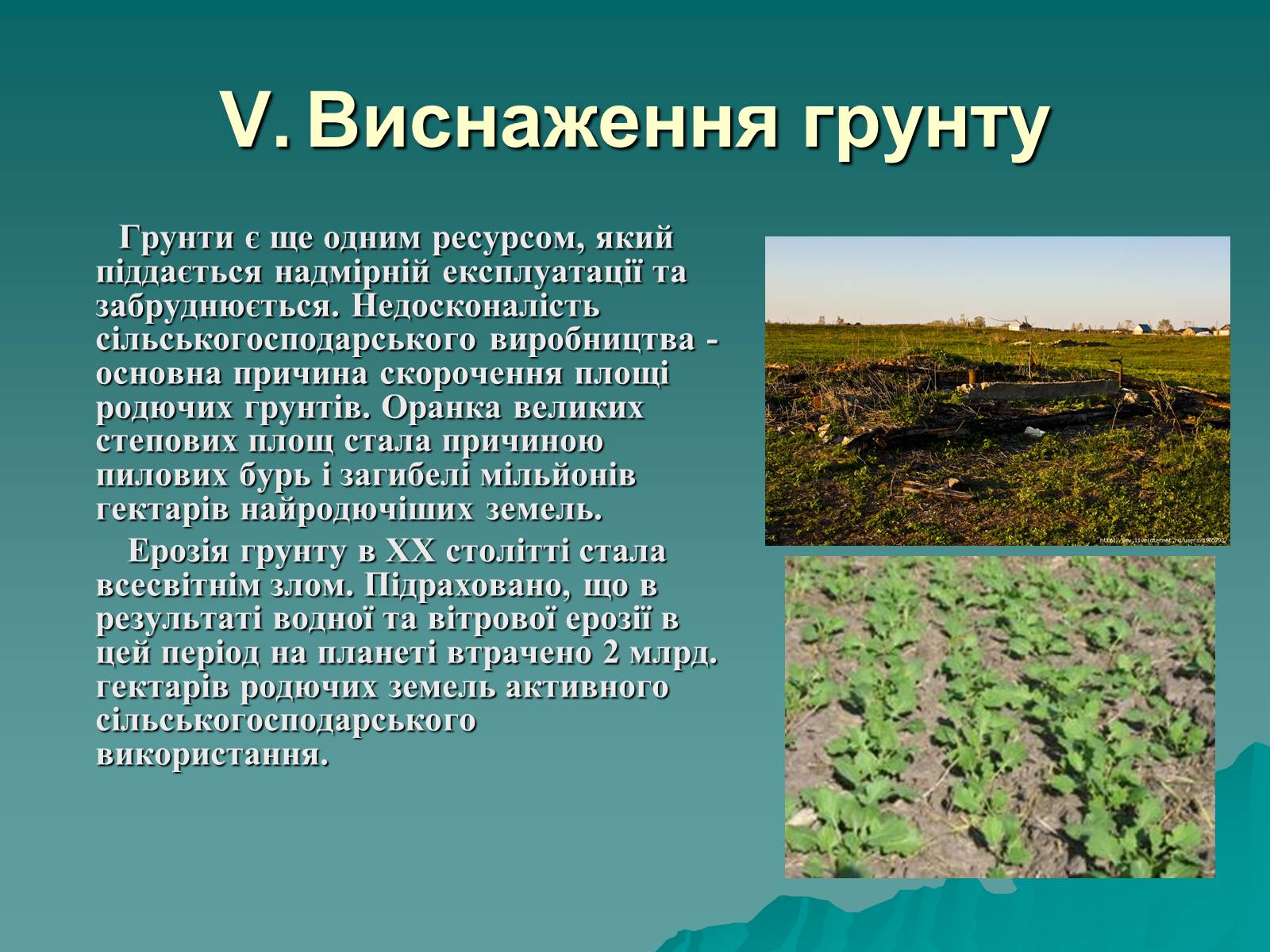 Презентація на тему «Екологія. Вплив людини на природу» - Слайд #11 Презентація на тему «Екологія. Вплив людини на природу» - Слайд #11