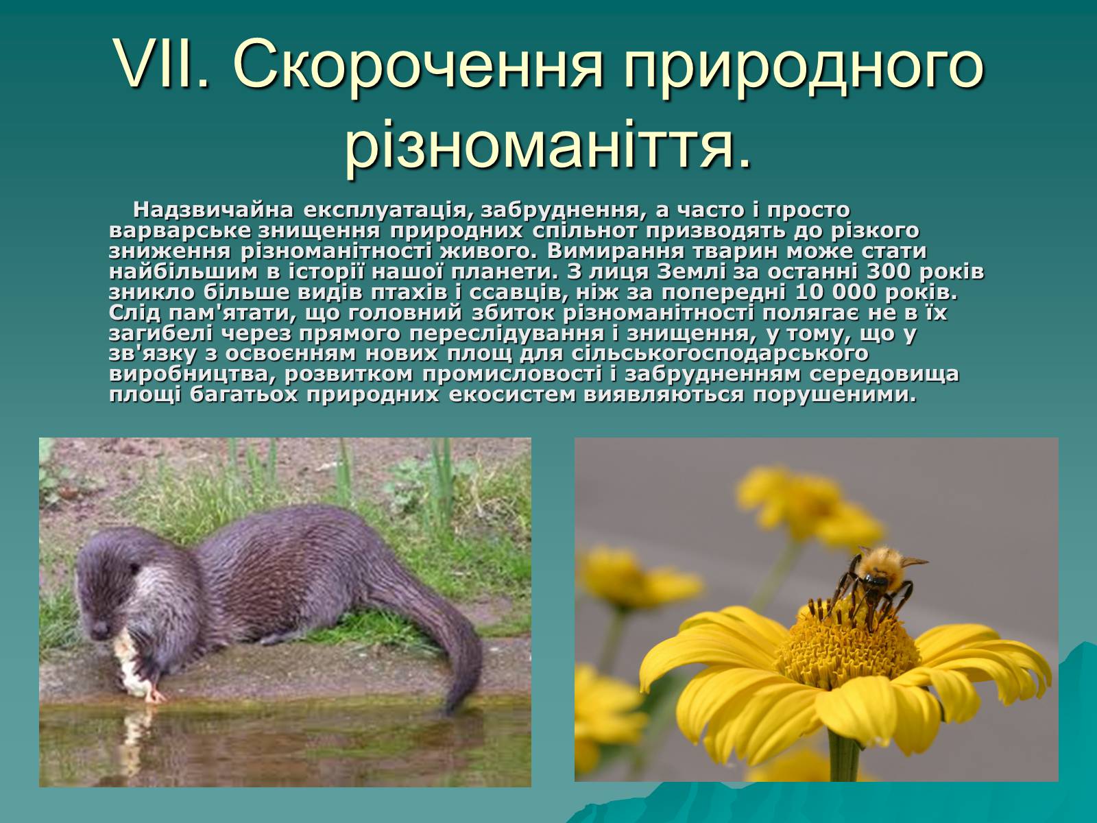 Презентація на тему «Екологія. Вплив людини на природу» - Слайд #13 Презентація на тему «Екологія. Вплив людини на природу» - Слайд #13