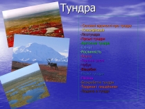 Презентація на тему «Тундра»