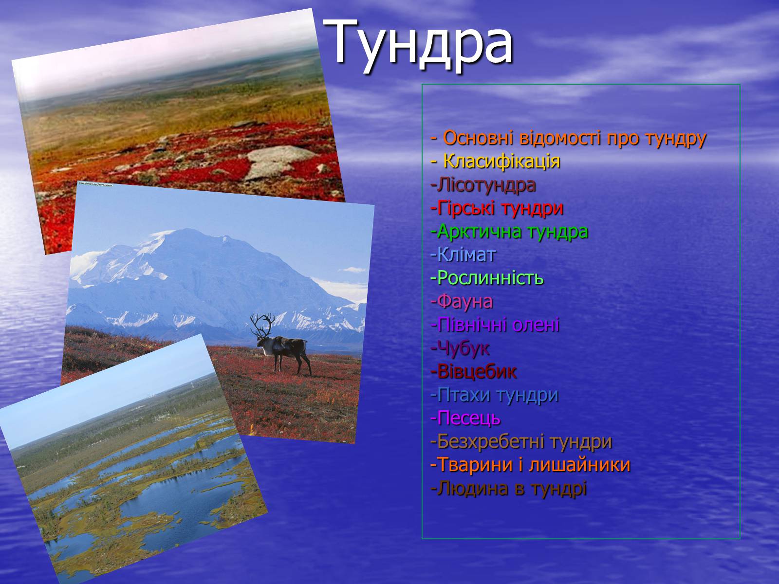 Презентація на тему «Тундра» - Слайд #1 Презентація на тему «Тундра» - Слайд #1