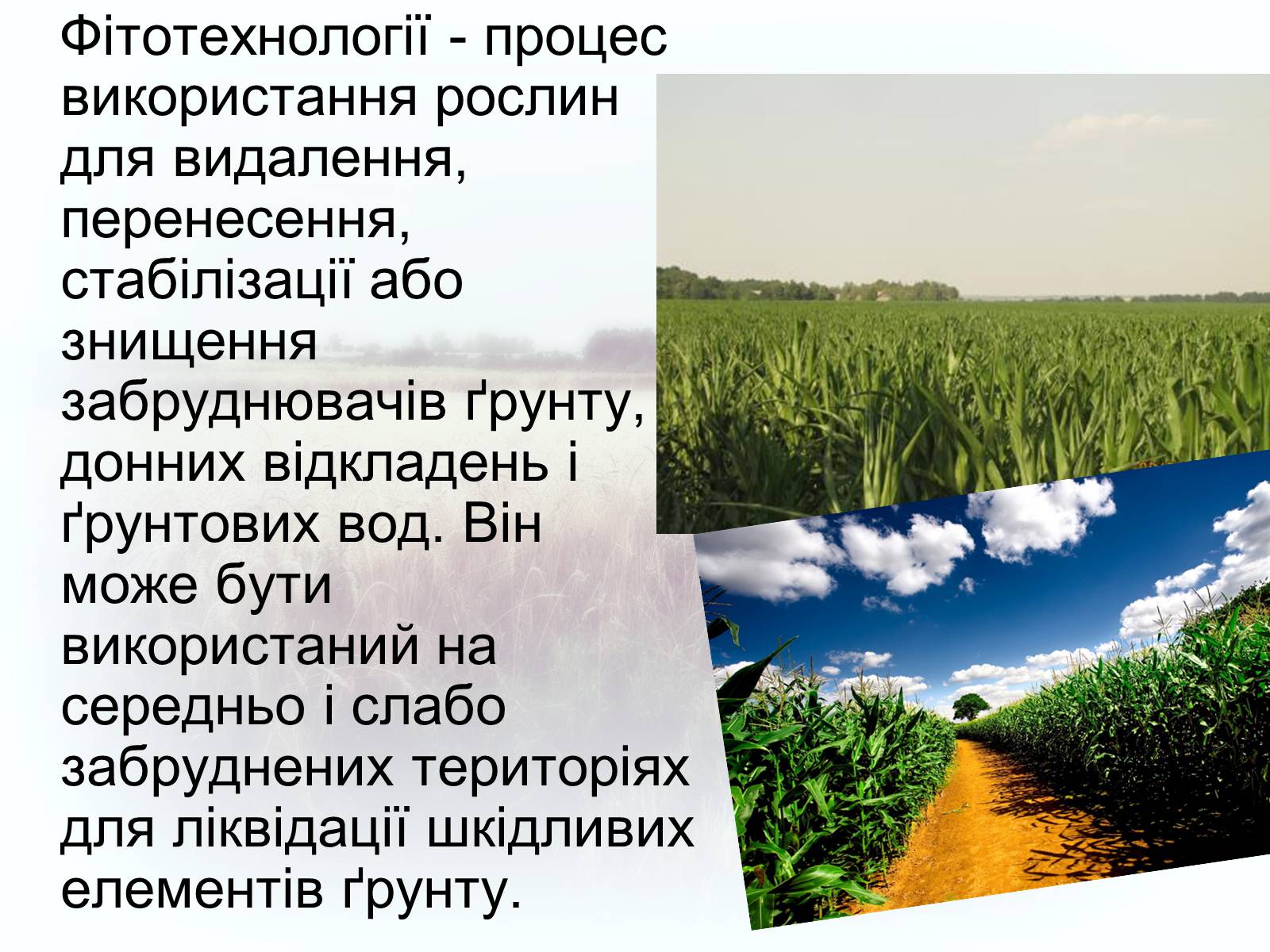 Презентація на тему «Забруднення грунтів України» (варіант 2) - Слайд #10 Презентація на тему «Забруднення грунтів України» (варіант 2) - Слайд #10