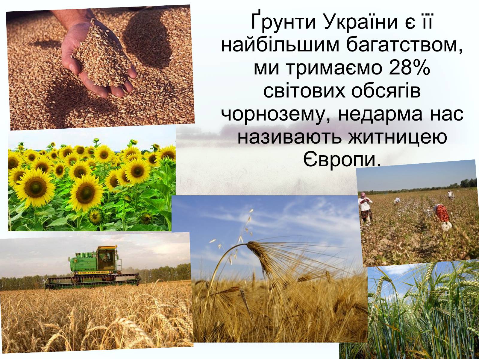 Презентація на тему «Забруднення грунтів України» (варіант 2) - Слайд #3 Презентація на тему «Забруднення грунтів України» (варіант 2) - Слайд #3