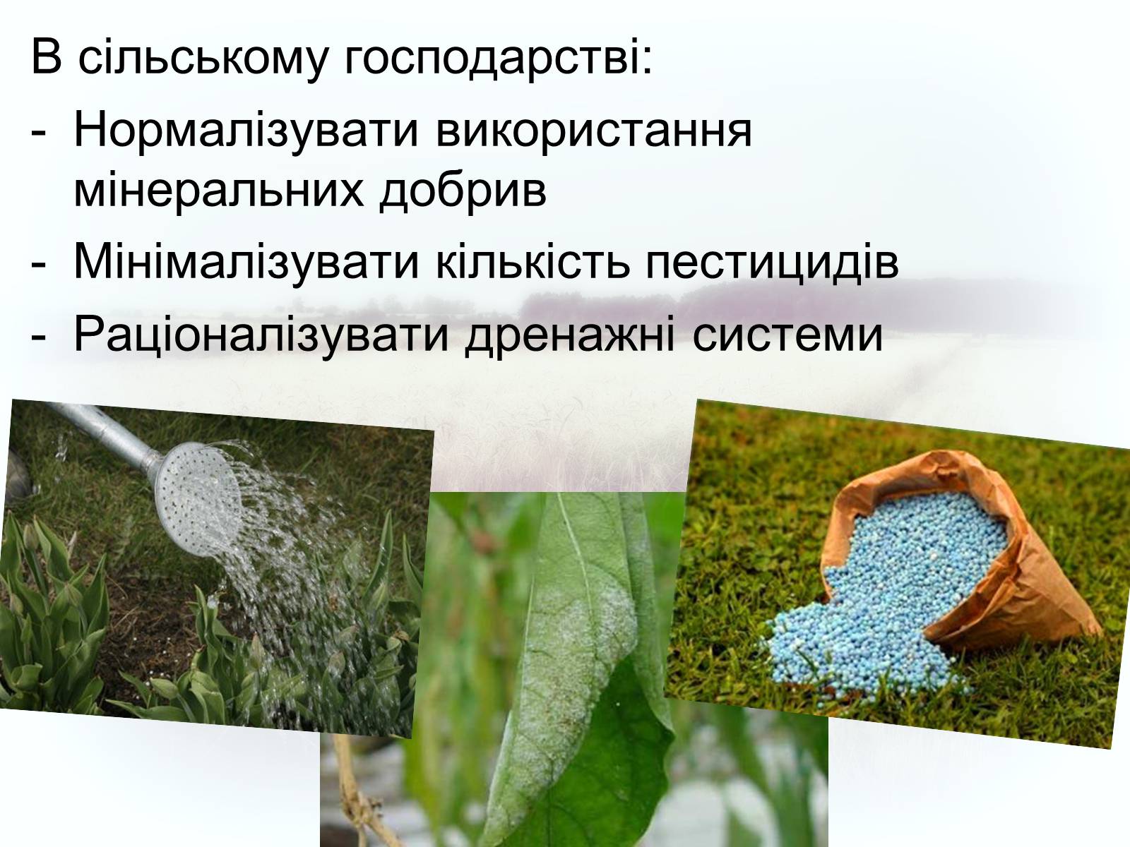 Презентація на тему «Забруднення грунтів України» (варіант 2) - Слайд #8 Презентація на тему «Забруднення грунтів України» (варіант 2) - Слайд #8