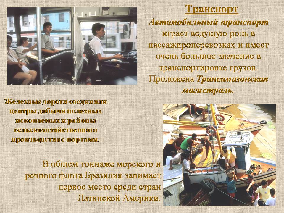 Презентація на тему «Бразилия» - Слайд #18 Презентація на тему «Бразилия» - Слайд #18