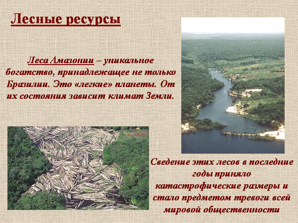Презентація на тему «Бразилия» - Слайд #6 Презентація на тему «Бразилия» - Слайд #6