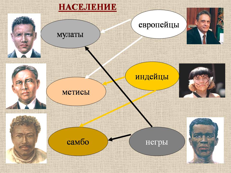 Презентація на тему «Бразилия» - Слайд #7 Презентація на тему «Бразилия» - Слайд #7