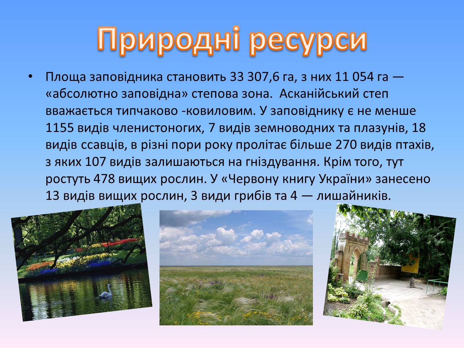 Презентація на тему «Асканія Нова» (варіант 8) - Слайд #4 Презентація на тему «Асканія Нова» (варіант 8) - Слайд #4