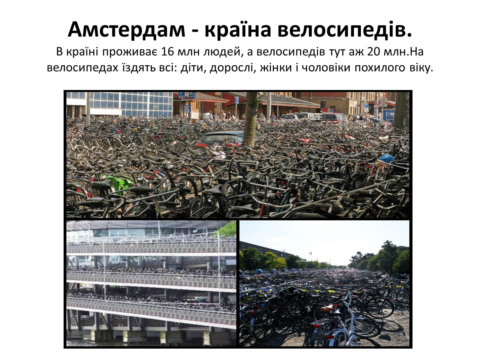 Презентація на тему «Нідерланди» (варіант 1) - Слайд #8 Презентація на тему «Нідерланди» (варіант 1) - Слайд #8