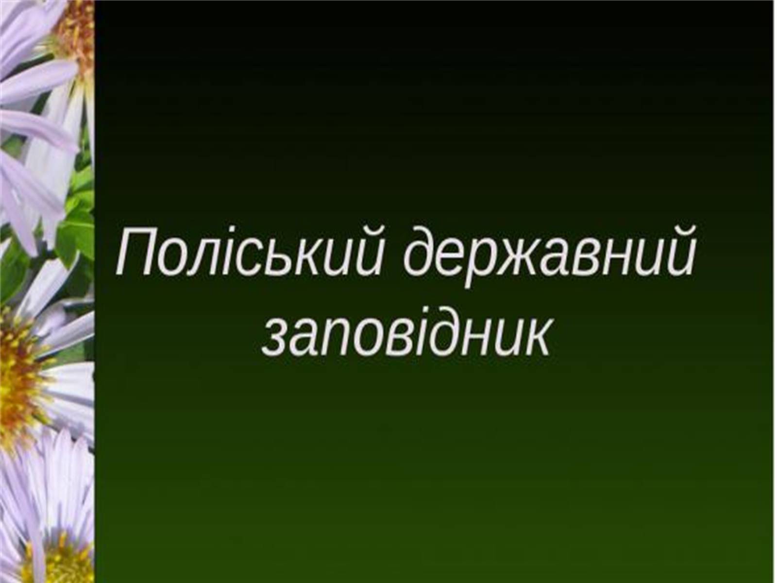 Презентація на тему «Природно-заповідний фонд України» (варіант 1) - Слайд #10 Презентація на тему «Природно-заповідний фонд України» (варіант 1) - Слайд #10