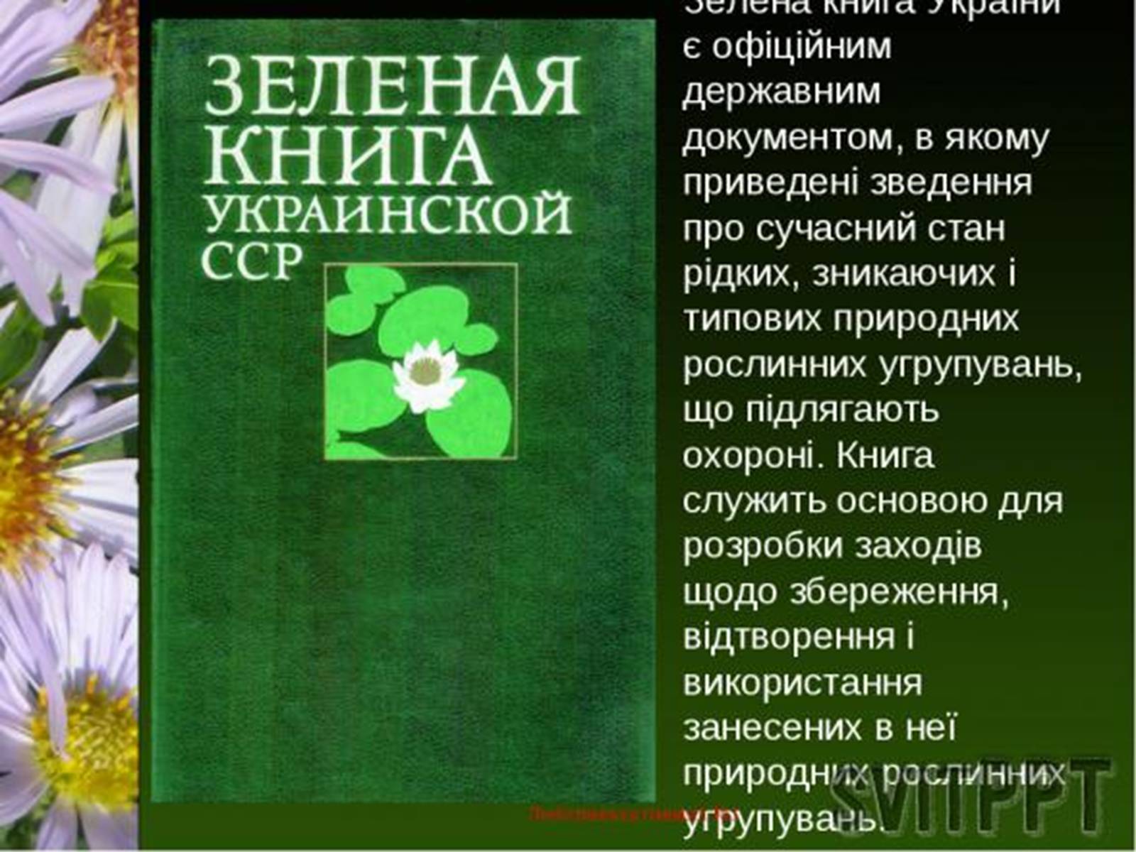 Презентація на тему «Природно-заповідний фонд України» (варіант 1) - Слайд #14 Презентація на тему «Природно-заповідний фонд України» (варіант 1) - Слайд #14