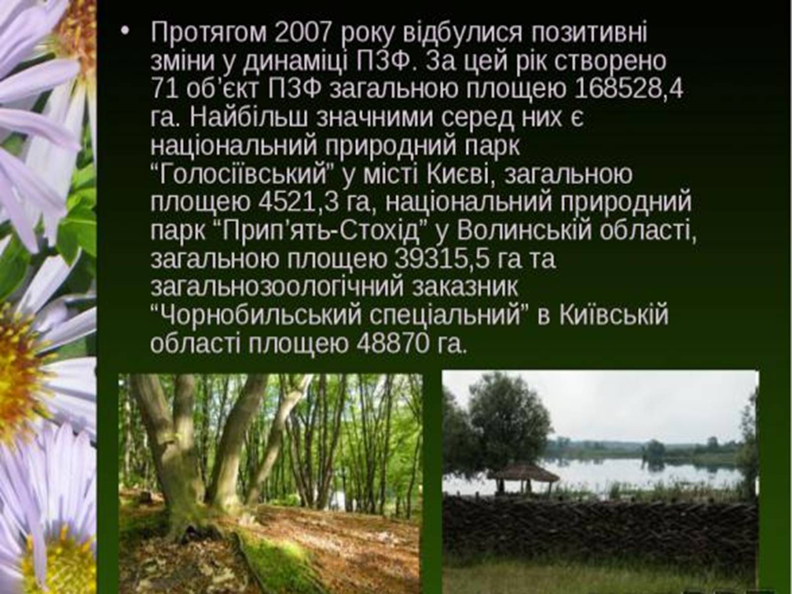 Презентація на тему «Природно-заповідний фонд України» (варіант 1) - Слайд #15 Презентація на тему «Природно-заповідний фонд України» (варіант 1) - Слайд #15