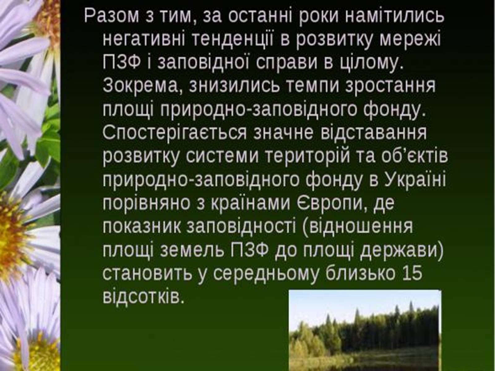 Презентація на тему «Природно-заповідний фонд України» (варіант 1) - Слайд #16 Презентація на тему «Природно-заповідний фонд України» (варіант 1) - Слайд #16