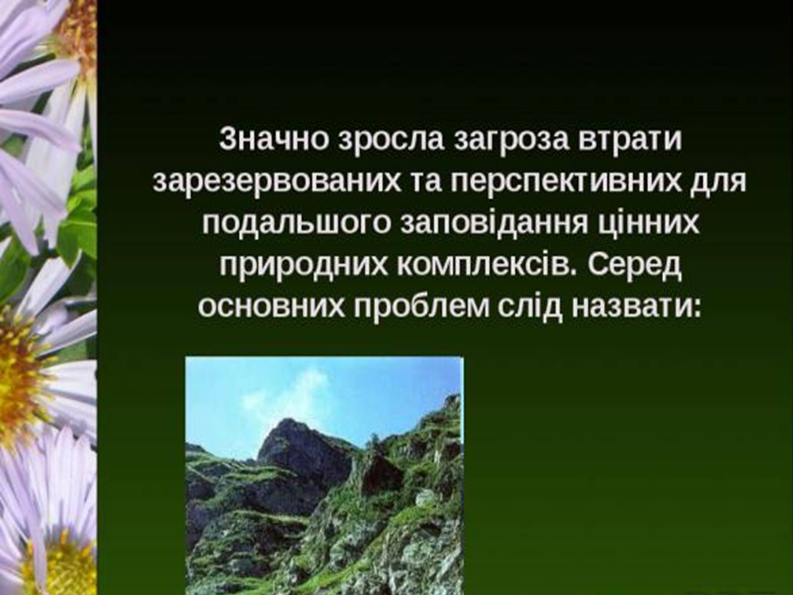 Презентація на тему «Природно-заповідний фонд України» (варіант 1) - Слайд #17 Презентація на тему «Природно-заповідний фонд України» (варіант 1) - Слайд #17