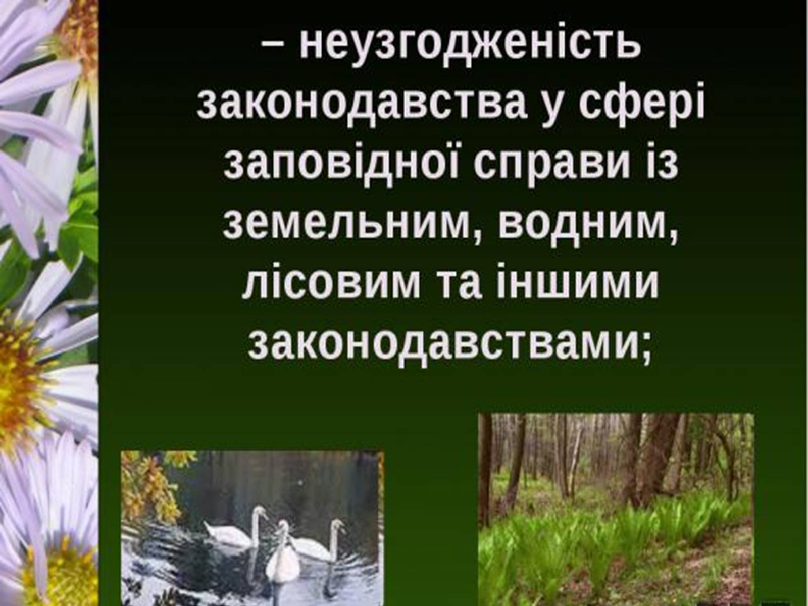 Презентація на тему «Природно-заповідний фонд України» (варіант 1) - Слайд #18 Презентація на тему «Природно-заповідний фонд України» (варіант 1) - Слайд #18