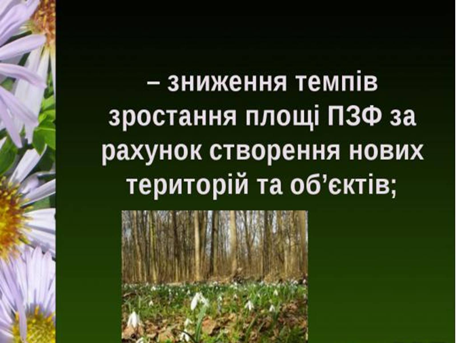 Презентація на тему «Природно-заповідний фонд України» (варіант 1) - Слайд #19 Презентація на тему «Природно-заповідний фонд України» (варіант 1) - Слайд #19