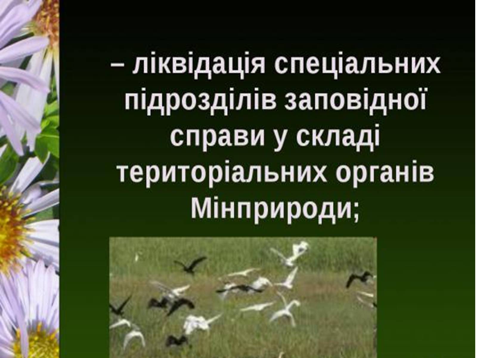 Презентація на тему «Природно-заповідний фонд України» (варіант 1) - Слайд #20 Презентація на тему «Природно-заповідний фонд України» (варіант 1) - Слайд #20