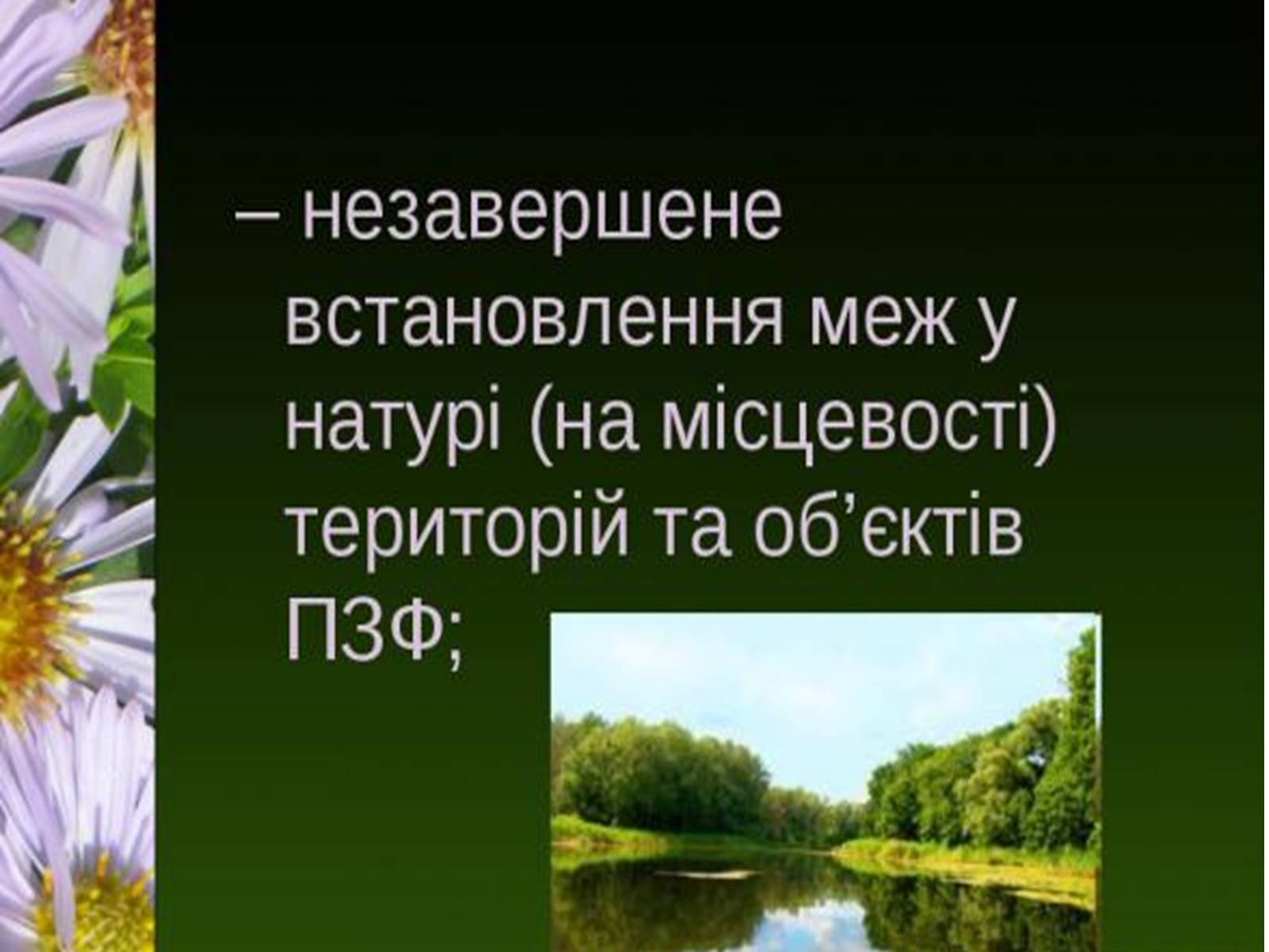 Презентація на тему «Природно-заповідний фонд України» (варіант 1) - Слайд #21 Презентація на тему «Природно-заповідний фонд України» (варіант 1) - Слайд #21