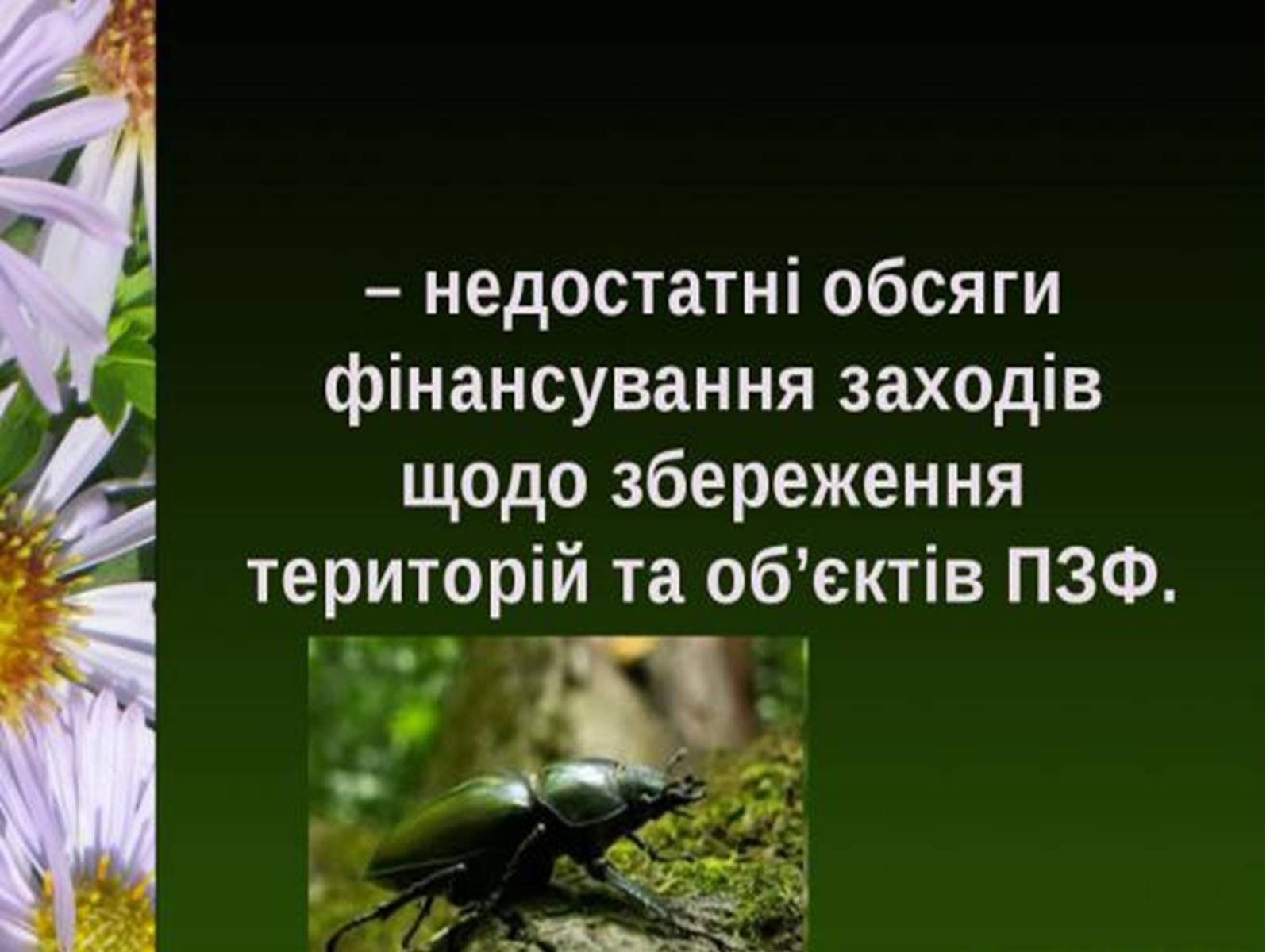 Презентація на тему «Природно-заповідний фонд України» (варіант 1) - Слайд #22 Презентація на тему «Природно-заповідний фонд України» (варіант 1) - Слайд #22