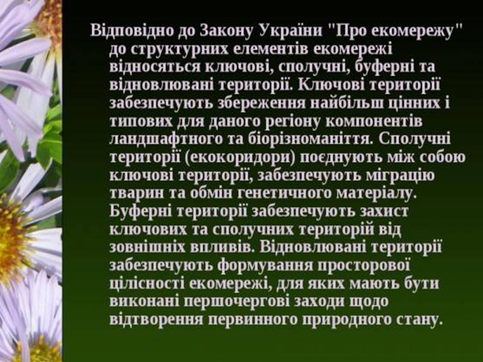 Презентація на тему «Природно-заповідний фонд України» (варіант 1) - Слайд #28 Презентація на тему «Природно-заповідний фонд України» (варіант 1) - Слайд #28