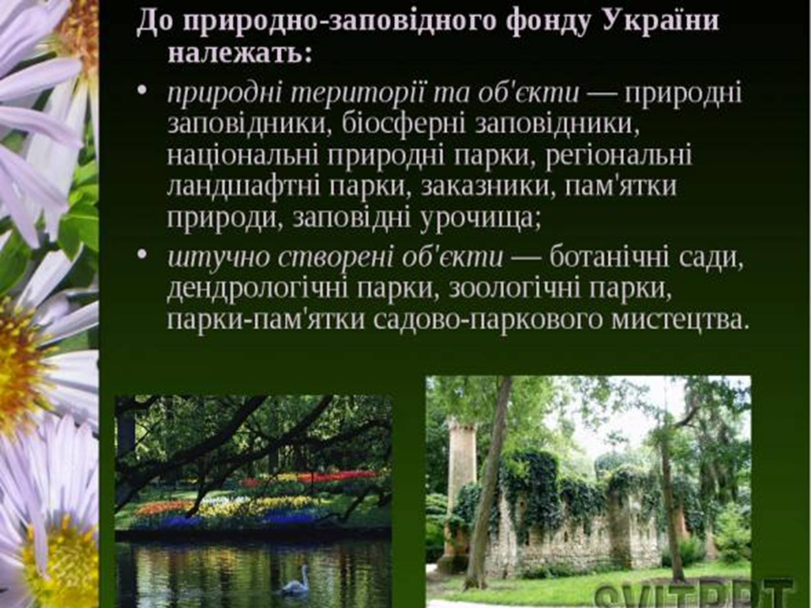 Презентація на тему «Природно-заповідний фонд України» (варіант 1) - Слайд #3 Презентація на тему «Природно-заповідний фонд України» (варіант 1) - Слайд #3